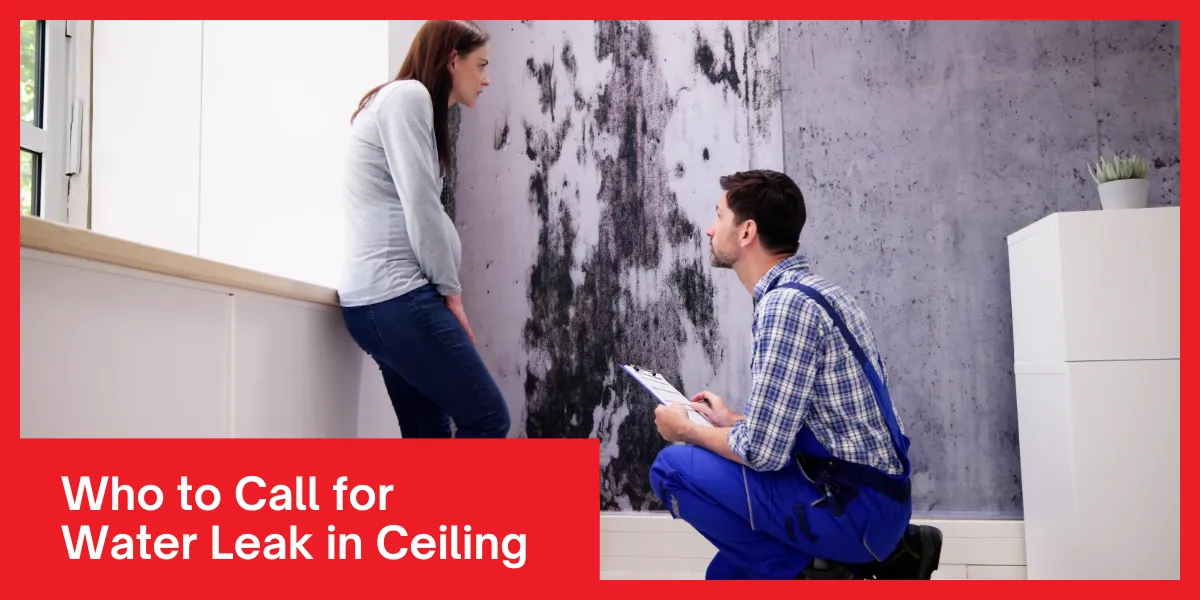 Who to Call for Water Leak in Ceiling Who to Call for Water Leak in Ceiling