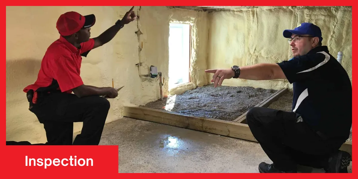 Inspection Two professionals inspecting a crawl space with visible water damage, discussing possible solutions.