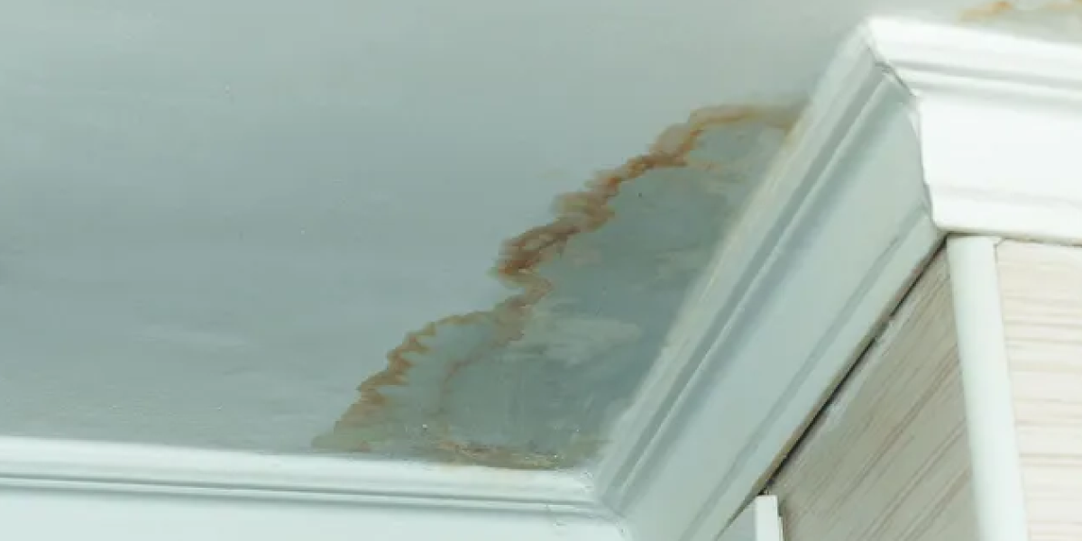Roof Leaks Are a Big Deal Roof Leaks Are a Big Deal