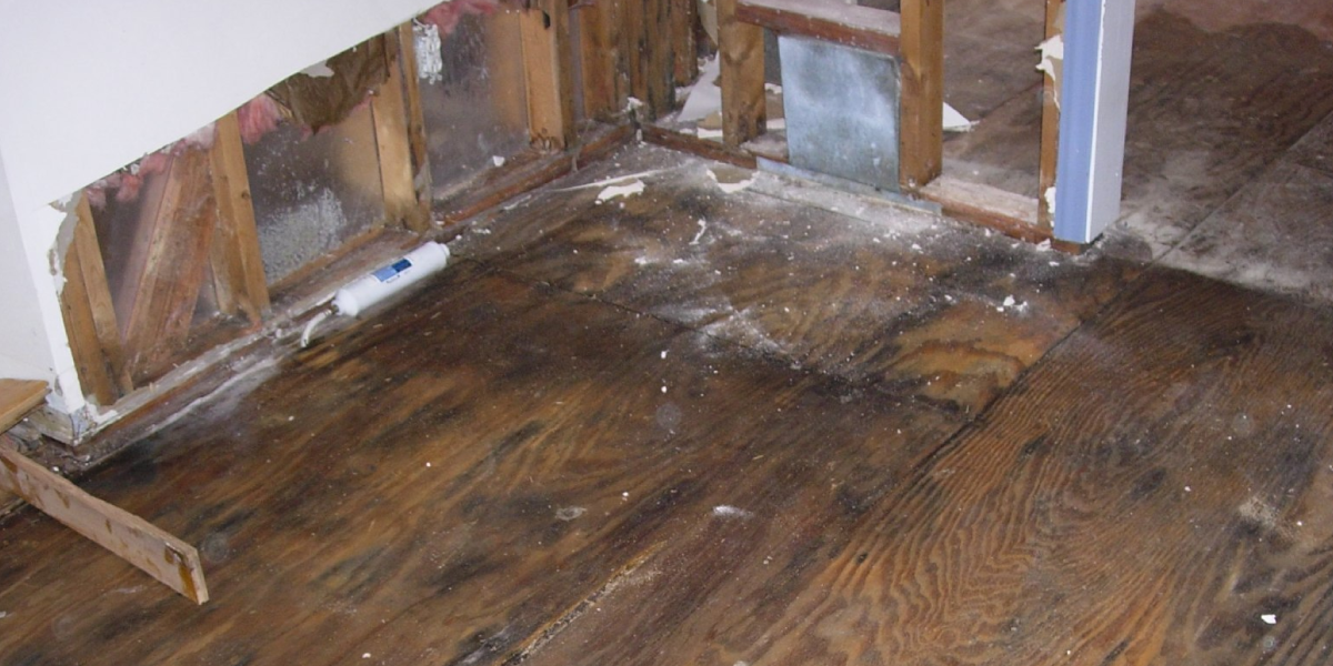Deep Mold Treatment Deep Mold Treatment (If Needed)