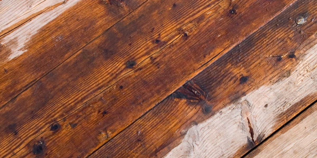 Dry Out the Wood Restoration Company in Los Angeles, CA