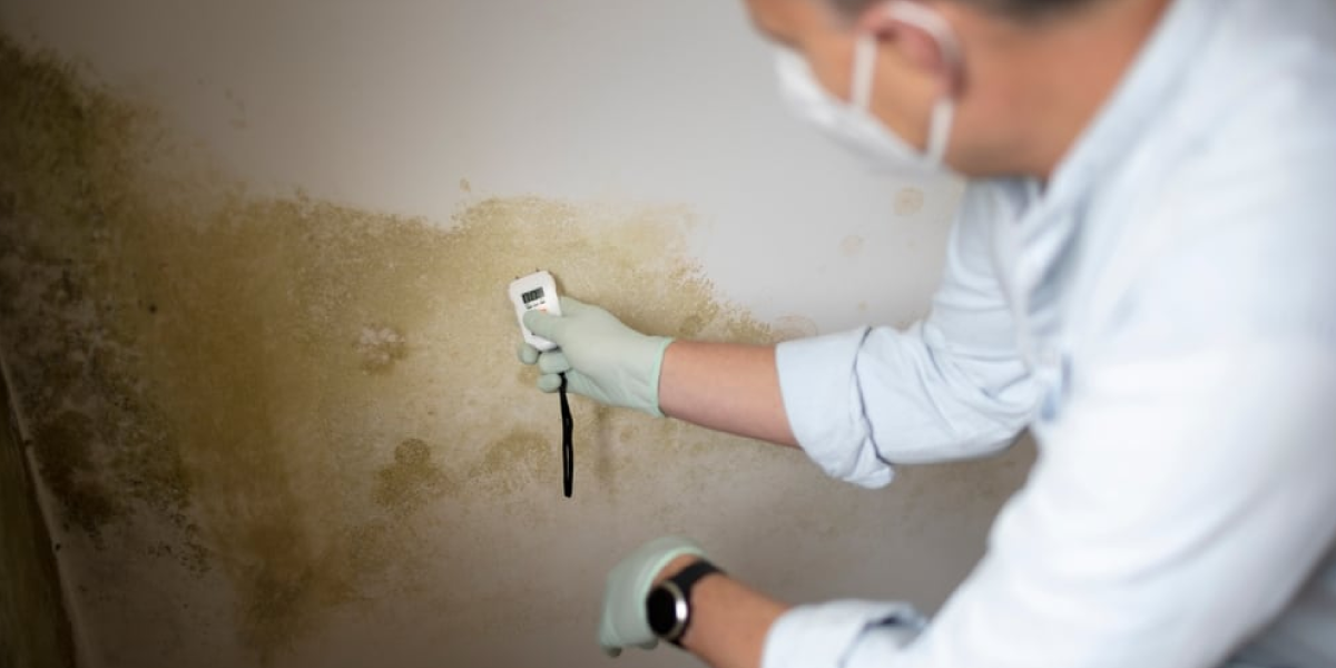 How to Identify Water Damage on Walls How to Identify Water Damage on Walls