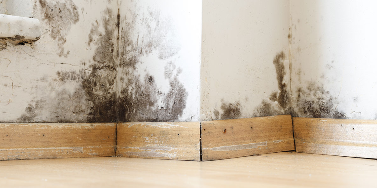 How to Prevent Water Damage in the Future How to Prevent Water Damage in the Future