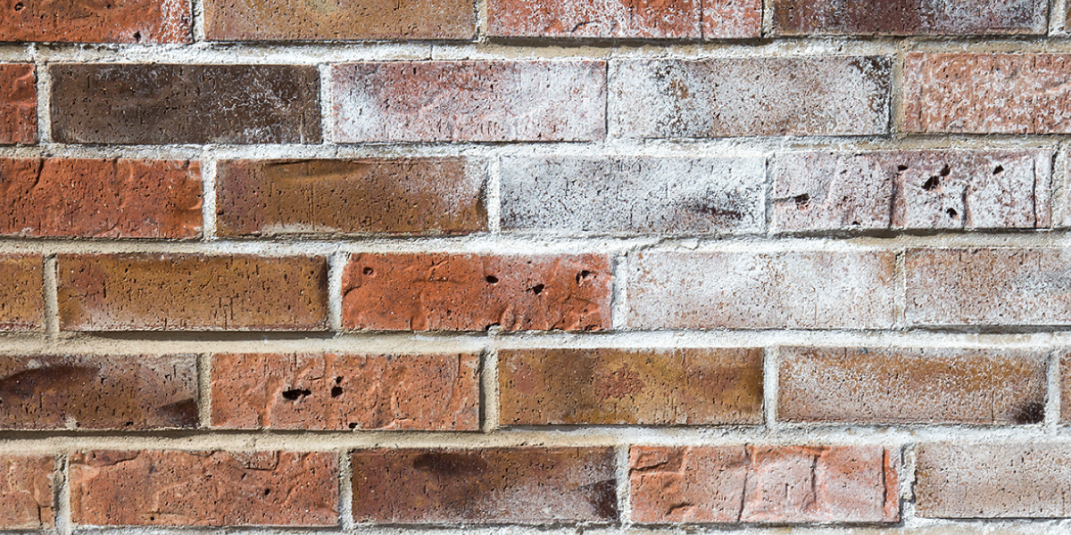 What is Efflorescence What is Efflorescence