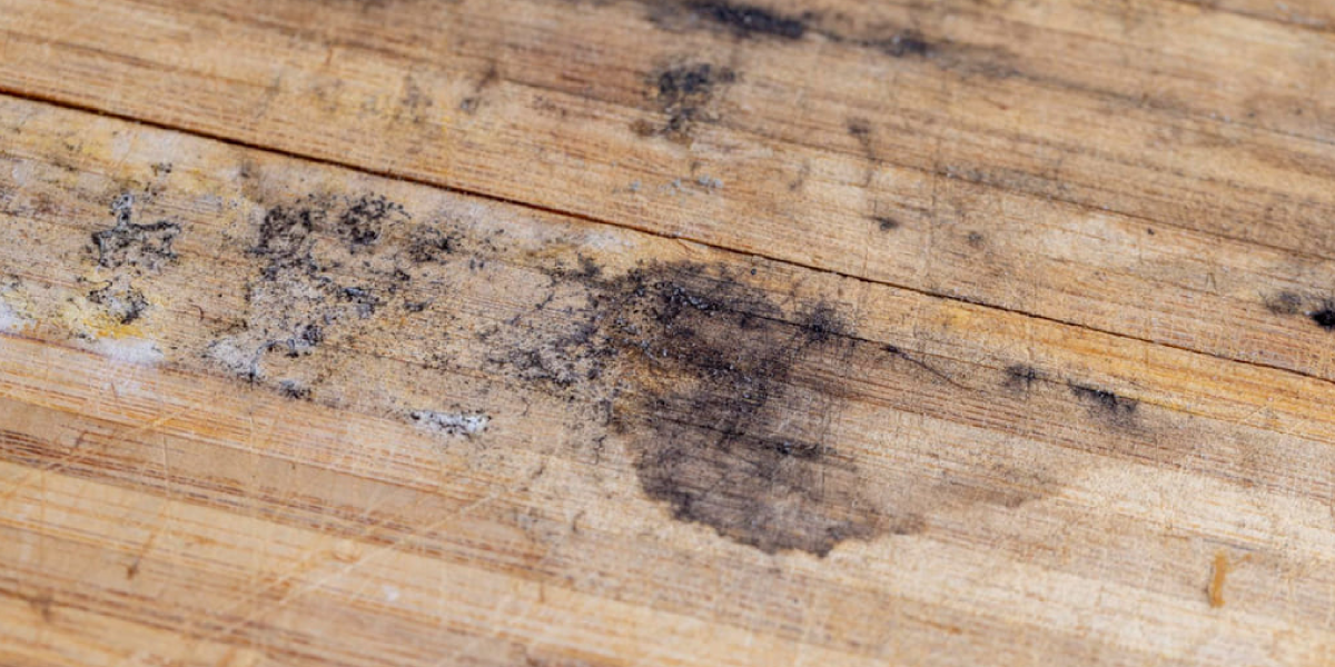 Tips to Keep Mold Away From Wood Tips to Keep Mold Away From Wood